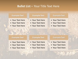 A Bunch Of Bread On A Wooden Table PowerPoint Template