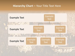 A Bunch Of Bread On A Wooden Table PowerPoint Template