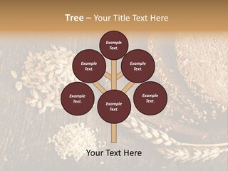 A Bunch Of Bread On A Wooden Table PowerPoint Template