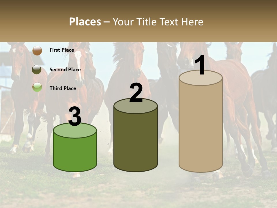 A Group Of Horses Running In A Field PowerPoint Template