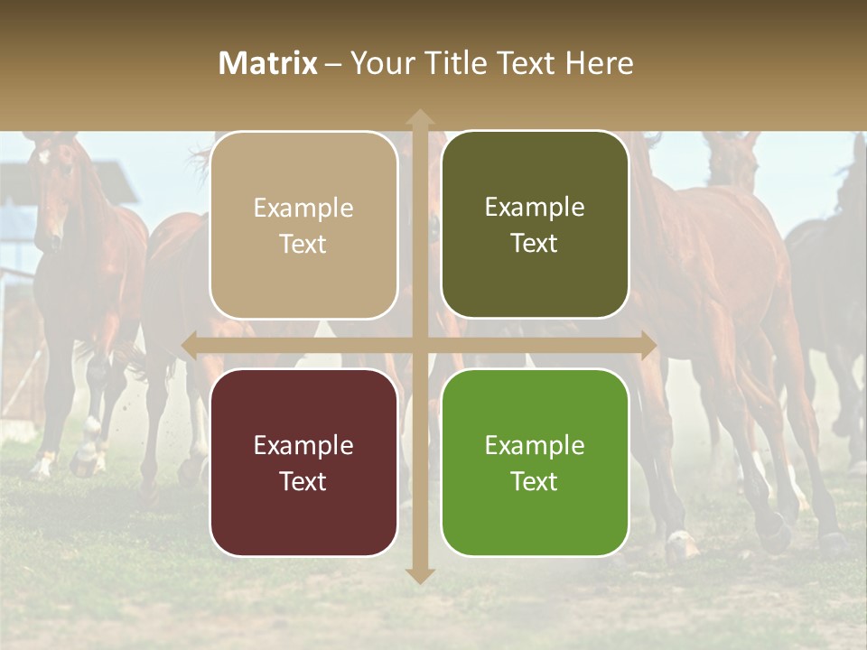 A Group Of Horses Running In A Field PowerPoint Template