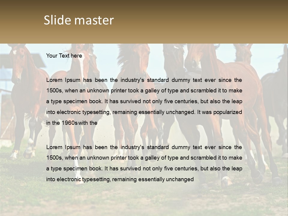 A Group Of Horses Running In A Field PowerPoint Template