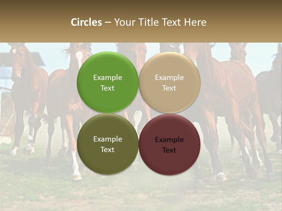 A Group Of Horses Running In A Field PowerPoint Template