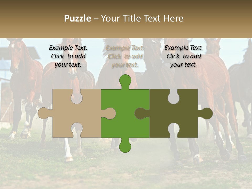 A Group Of Horses Running In A Field PowerPoint Template
