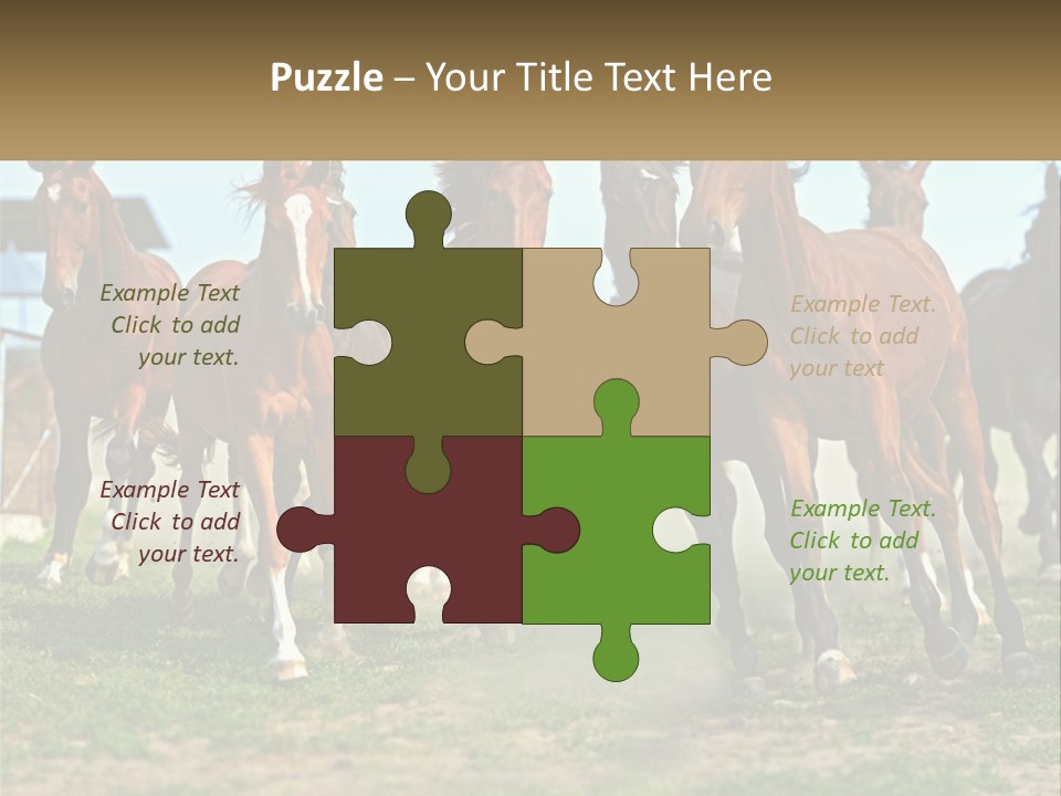 A Group Of Horses Running In A Field PowerPoint Template
