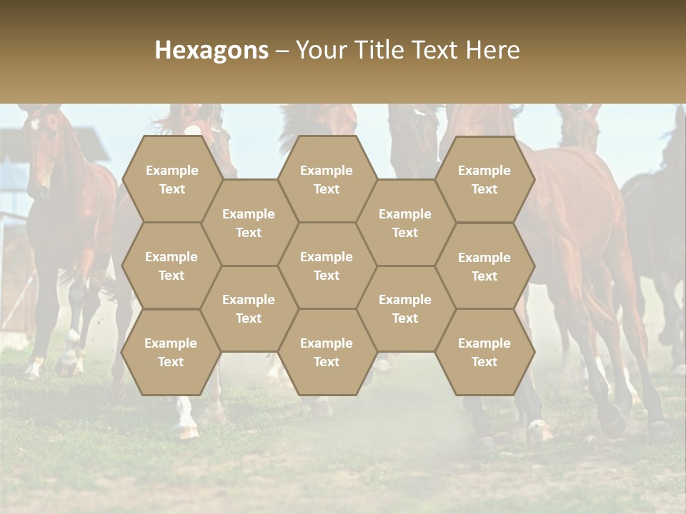 A Group Of Horses Running In A Field PowerPoint Template