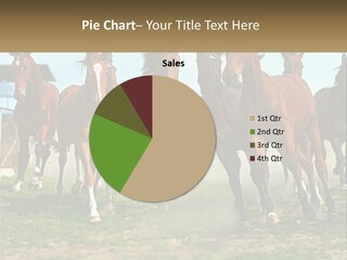 A Group Of Horses Running In A Field PowerPoint Template