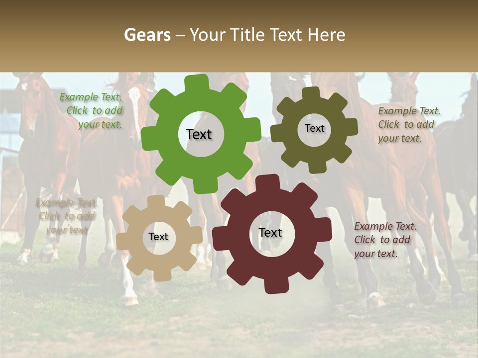 A Group Of Horses Running In A Field PowerPoint Template