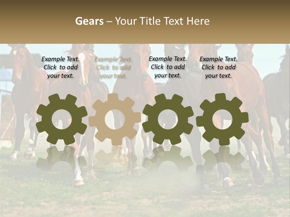 A Group Of Horses Running In A Field PowerPoint Template