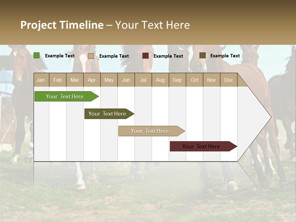 A Group Of Horses Running In A Field PowerPoint Template