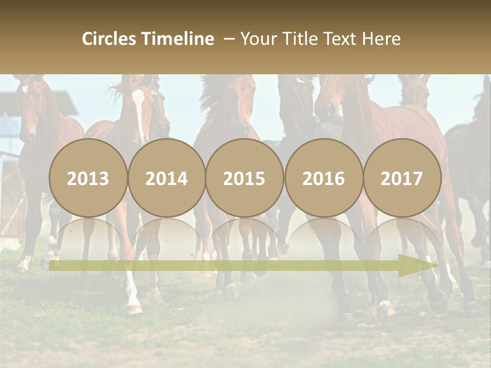 A Group Of Horses Running In A Field PowerPoint Template