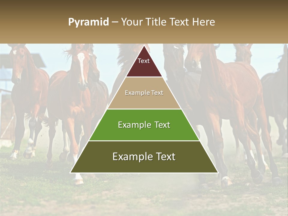 A Group Of Horses Running In A Field PowerPoint Template