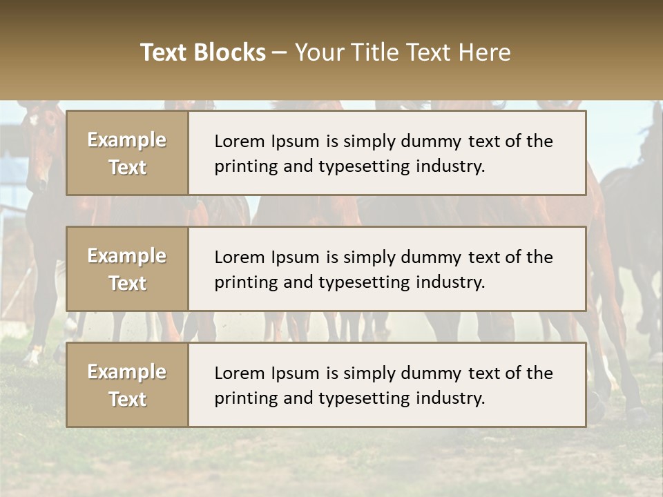 A Group Of Horses Running In A Field PowerPoint Template