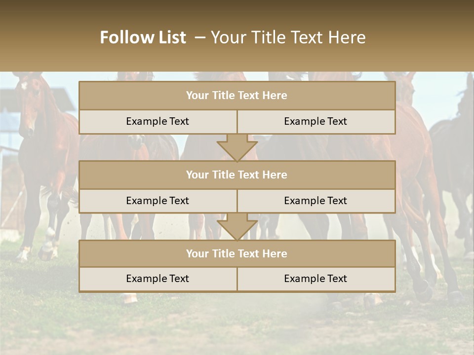 A Group Of Horses Running In A Field PowerPoint Template