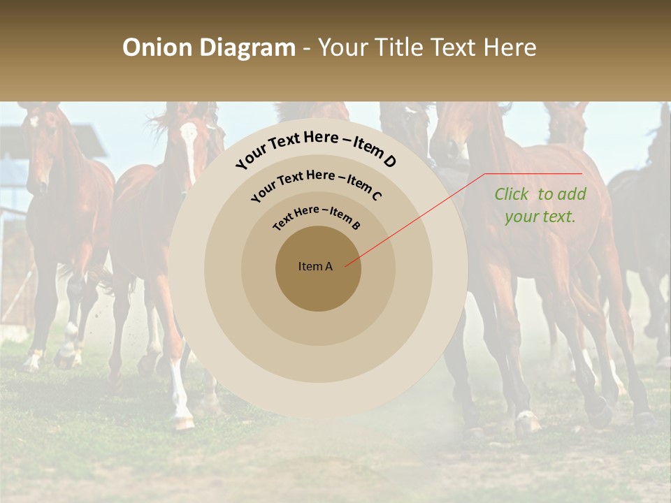 A Group Of Horses Running In A Field PowerPoint Template