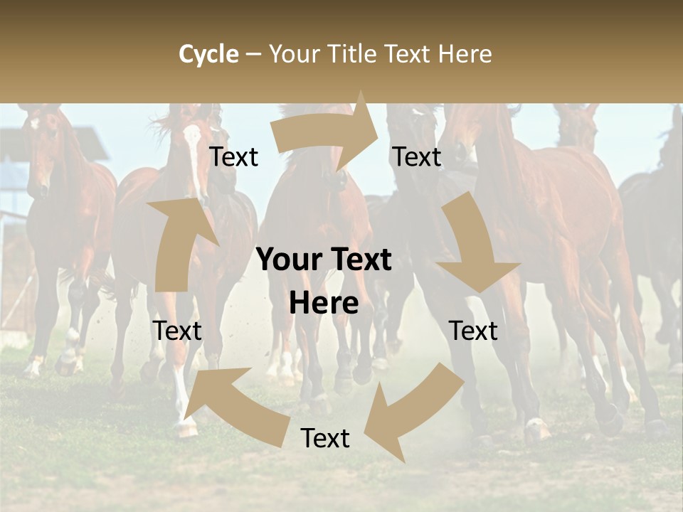 A Group Of Horses Running In A Field PowerPoint Template
