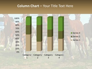 A Group Of Horses Running In A Field PowerPoint Template