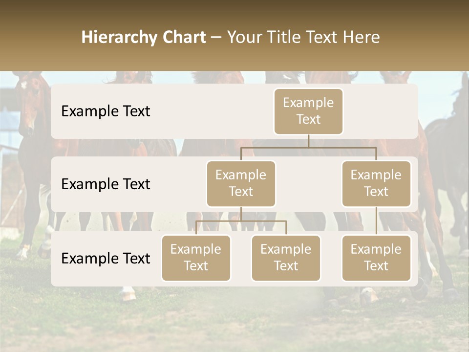 A Group Of Horses Running In A Field PowerPoint Template