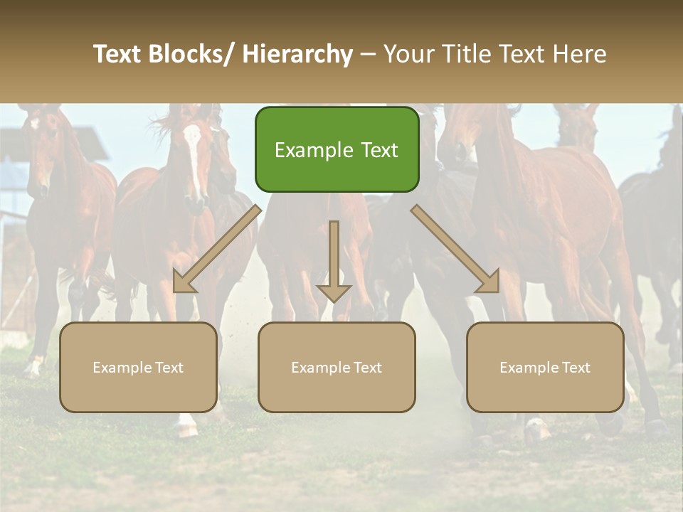 A Group Of Horses Running In A Field PowerPoint Template