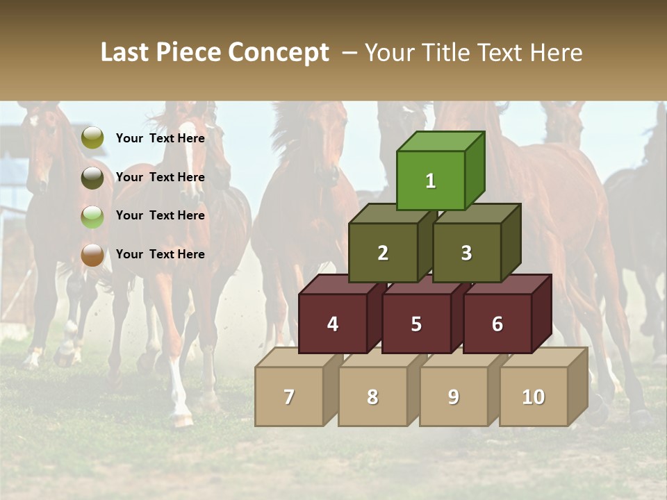 A Group Of Horses Running In A Field PowerPoint Template