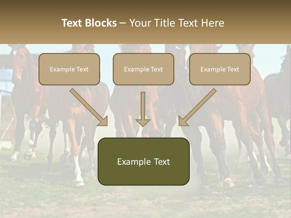 A Group Of Horses Running In A Field PowerPoint Template