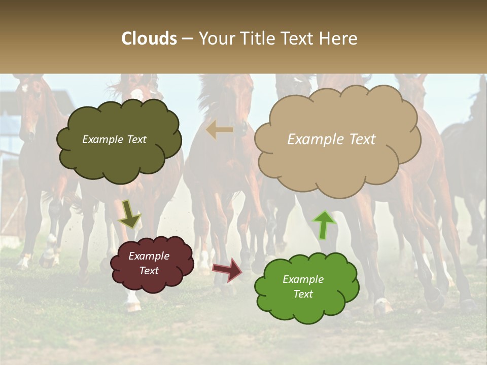 A Group Of Horses Running In A Field PowerPoint Template