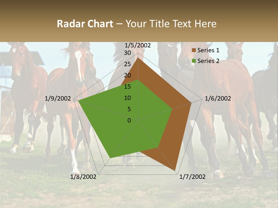 A Group Of Horses Running In A Field PowerPoint Template