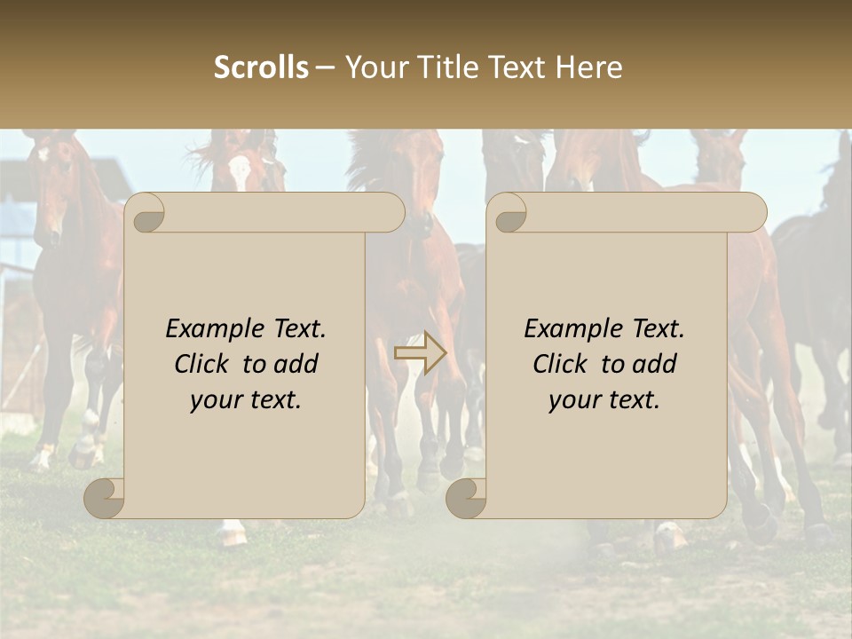 A Group Of Horses Running In A Field PowerPoint Template