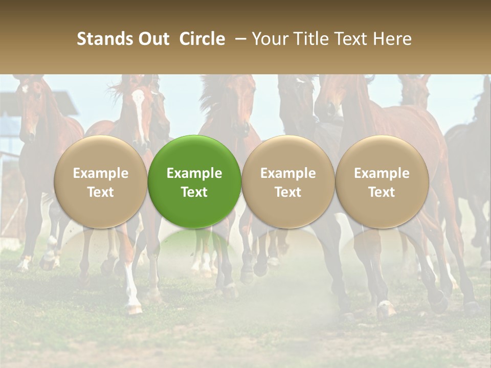 A Group Of Horses Running In A Field PowerPoint Template