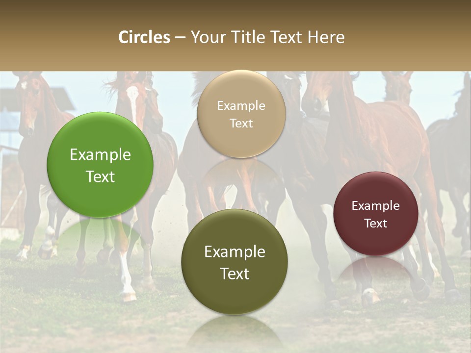 A Group Of Horses Running In A Field PowerPoint Template