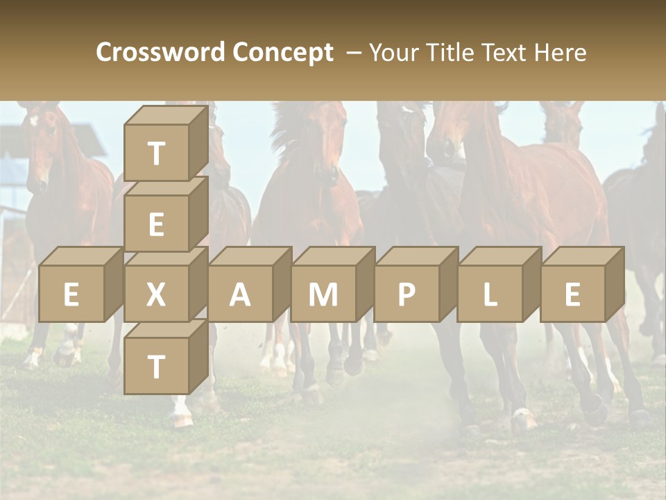 A Group Of Horses Running In A Field PowerPoint Template