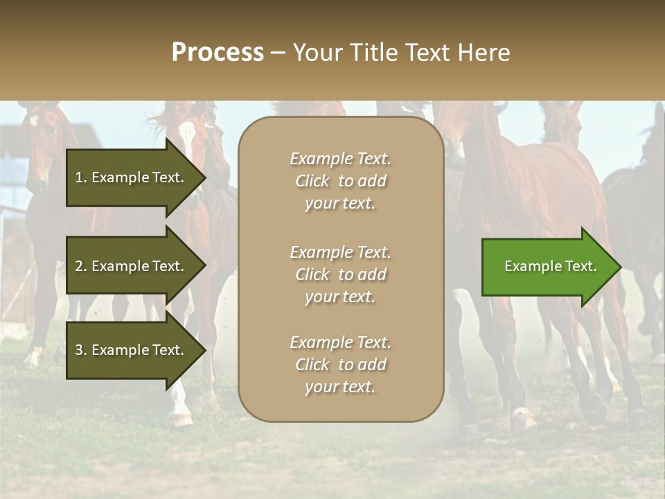 A Group Of Horses Running In A Field PowerPoint Template