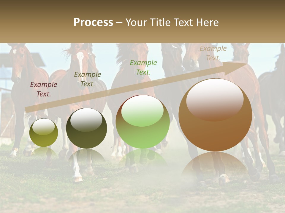 A Group Of Horses Running In A Field PowerPoint Template