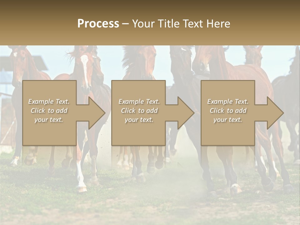 A Group Of Horses Running In A Field PowerPoint Template
