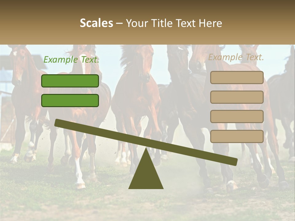 A Group Of Horses Running In A Field PowerPoint Template