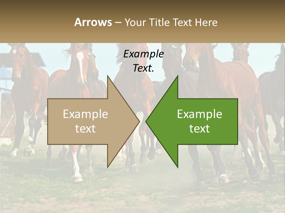 A Group Of Horses Running In A Field PowerPoint Template