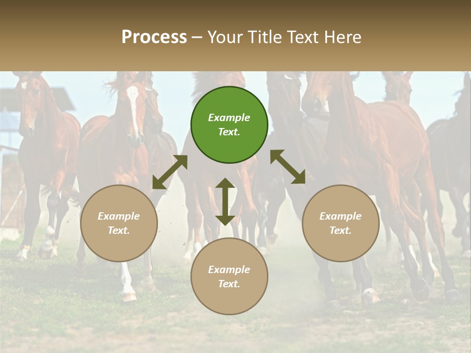 A Group Of Horses Running In A Field PowerPoint Template