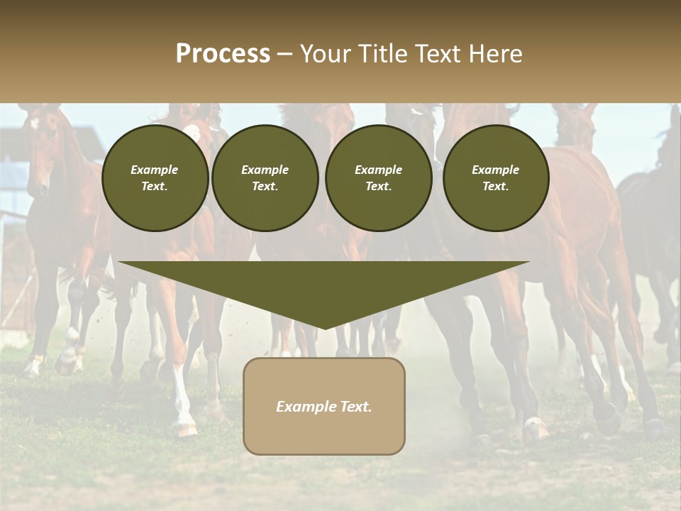 A Group Of Horses Running In A Field PowerPoint Template