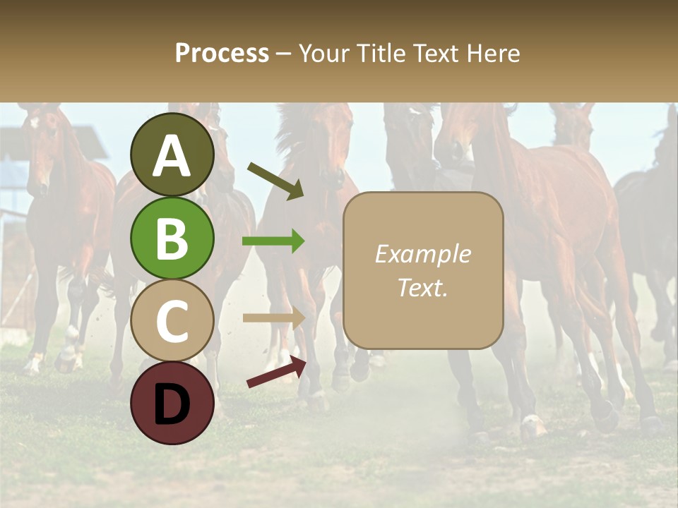 A Group Of Horses Running In A Field PowerPoint Template