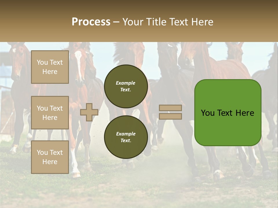 A Group Of Horses Running In A Field PowerPoint Template
