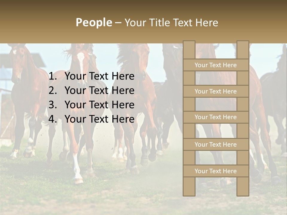A Group Of Horses Running In A Field PowerPoint Template