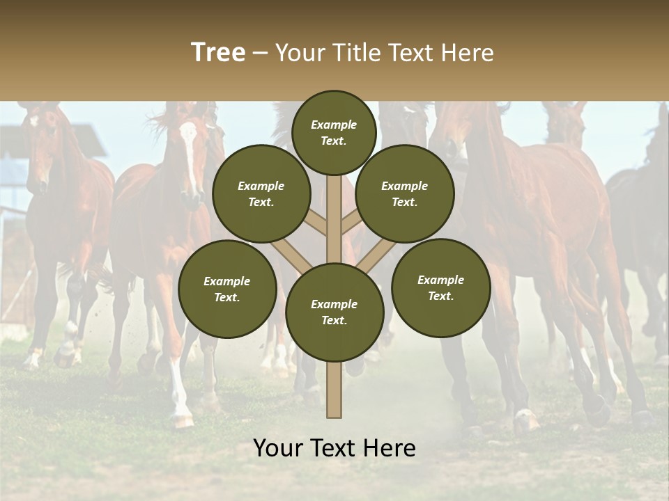 A Group Of Horses Running In A Field PowerPoint Template