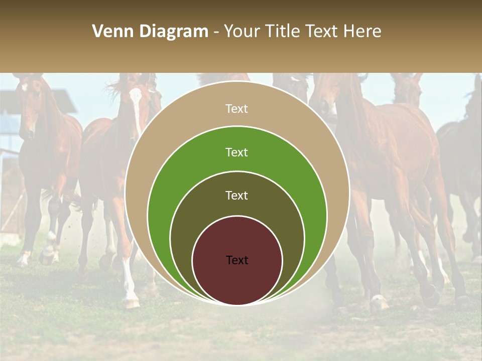 A Group Of Horses Running In A Field PowerPoint Template