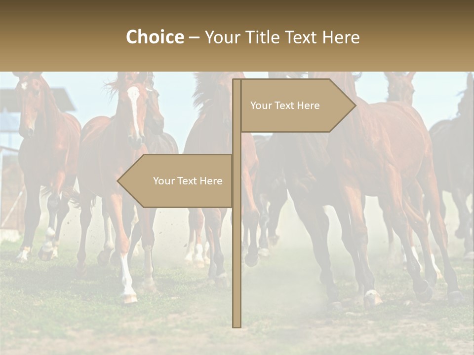 A Group Of Horses Running In A Field PowerPoint Template