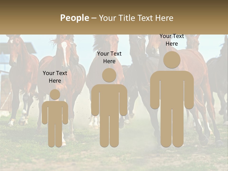 A Group Of Horses Running In A Field PowerPoint Template