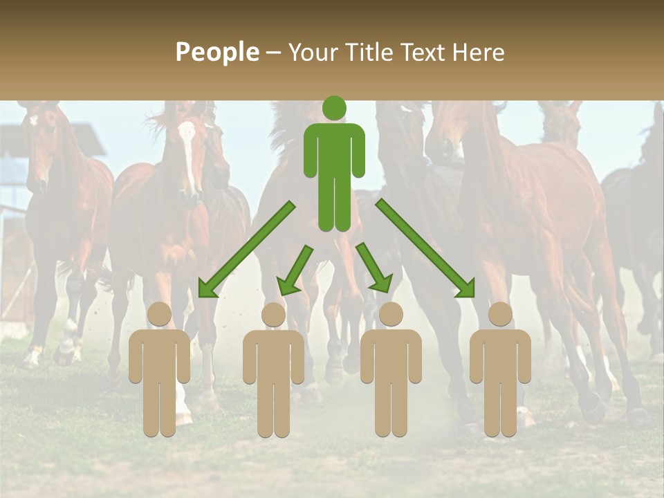 A Group Of Horses Running In A Field PowerPoint Template