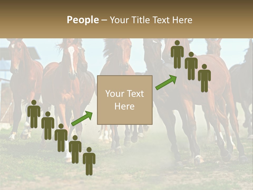 A Group Of Horses Running In A Field PowerPoint Template