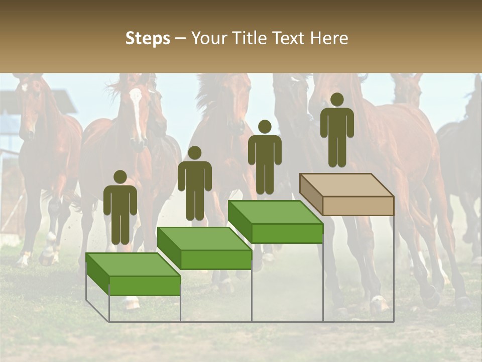 A Group Of Horses Running In A Field PowerPoint Template
