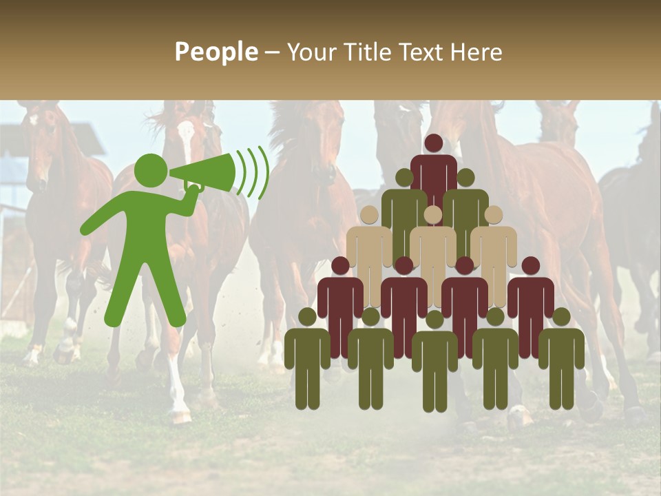 A Group Of Horses Running In A Field PowerPoint Template