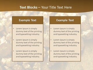 A Pile Of Gold Nuggets On A Table PowerPoint Template